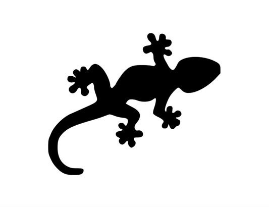 Bügelbild Gecko Farbwahl